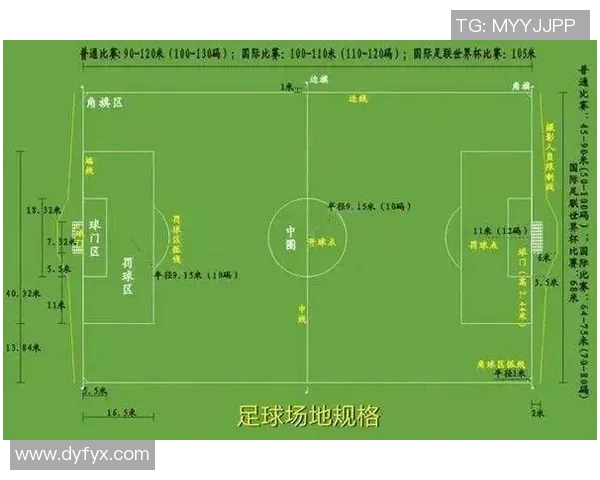 伊犁足球球星排名前十名分析及其在国内外赛场的表现对比